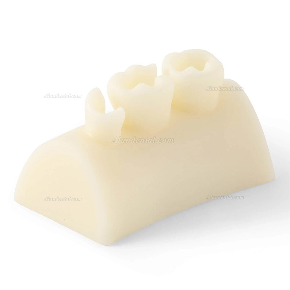 Dental Inlay Exercise Block Composite Resin Filling Teeth